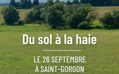 Du sol à la haie