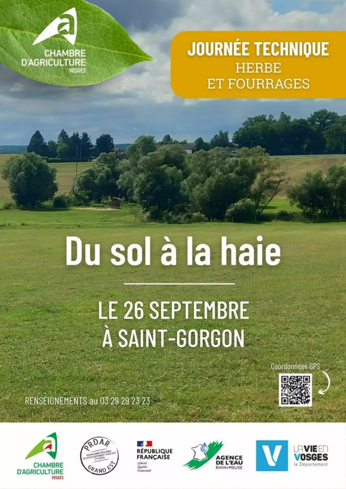 Du sol à la haie