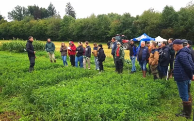 Retour sur la journée Du sol à la haie