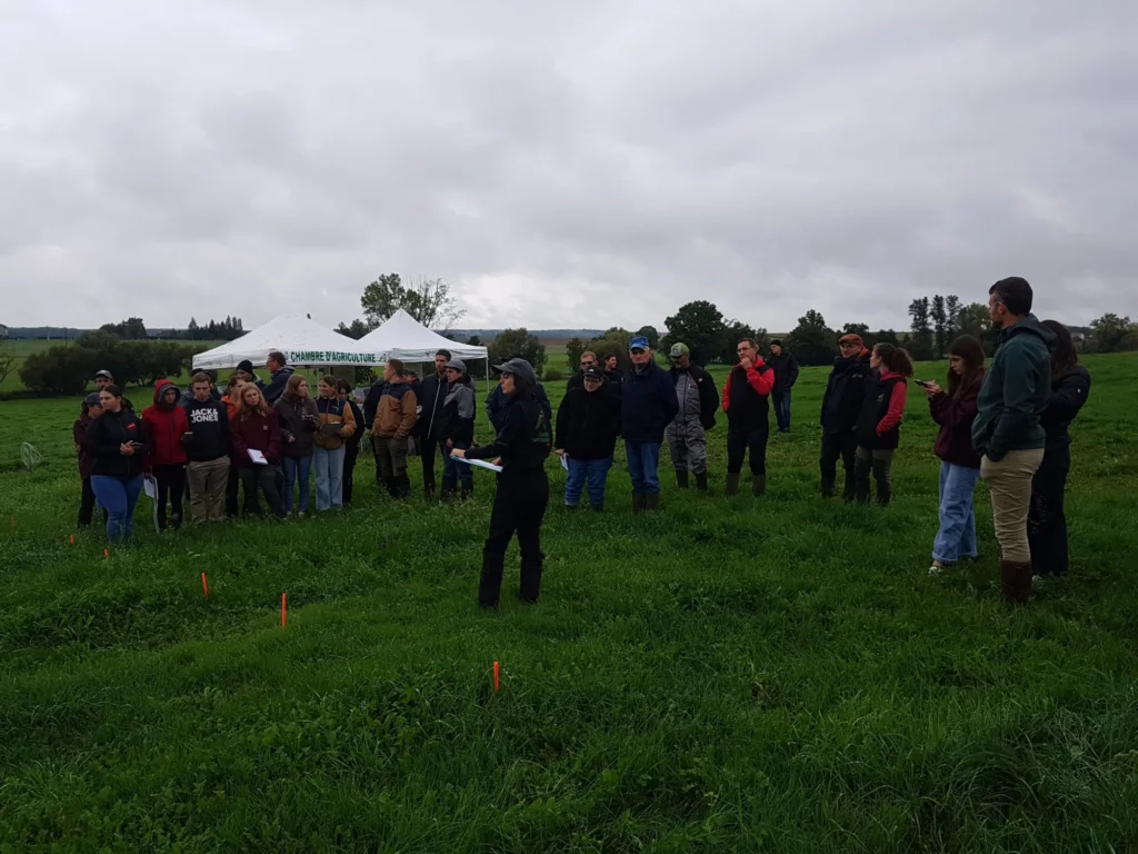 Atelier du sol à la haie