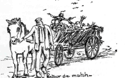 On achève bien les chevaux…